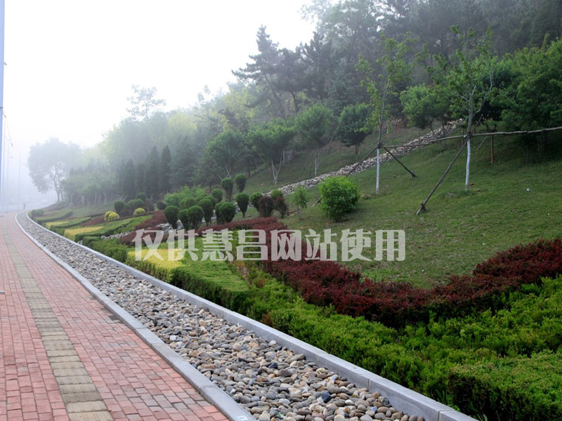 大連園林綠化,園林綠化施工,園林綠化工程,地產(chǎn)綠化工程,園林景觀設(shè)計,景觀設(shè)計,景觀設(shè)計施工,園林綠化,綠化工程,綠化養(yǎng)護,綠化項目,慧昌園林,地產(chǎn)工程施工,地產(chǎn)工程綠化,地產(chǎn)工程,園林養(yǎng)護,大連綠化,苗木培育,苗木養(yǎng)護