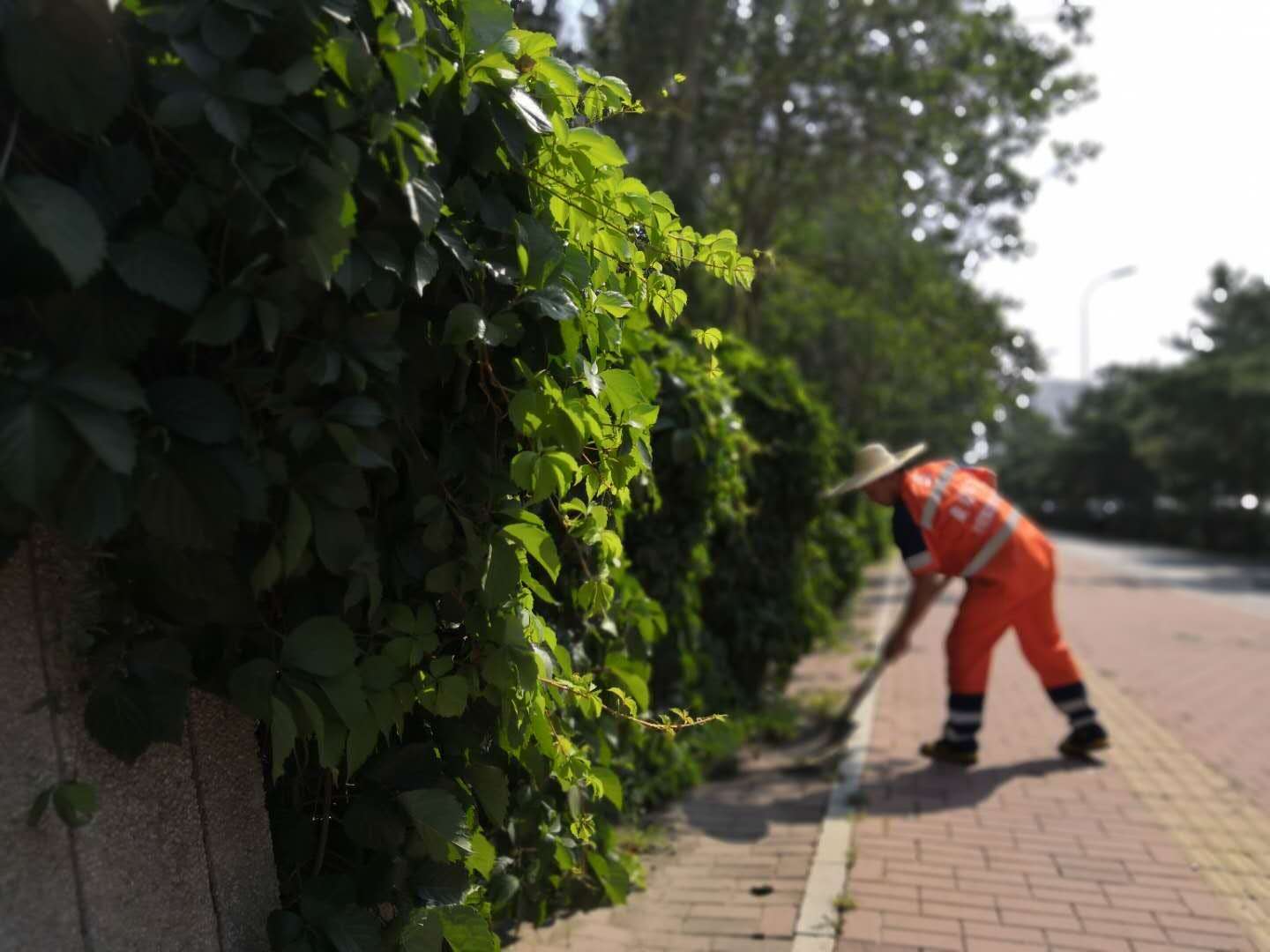 地產(chǎn)綠化工程